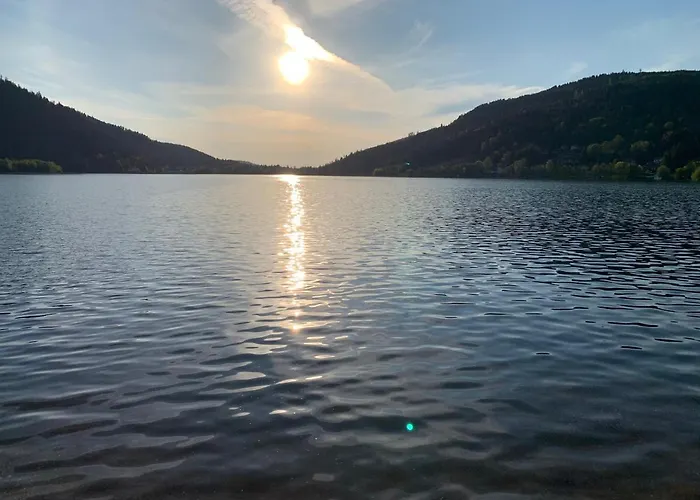 Apartment Les Brimbelles Gerardmer