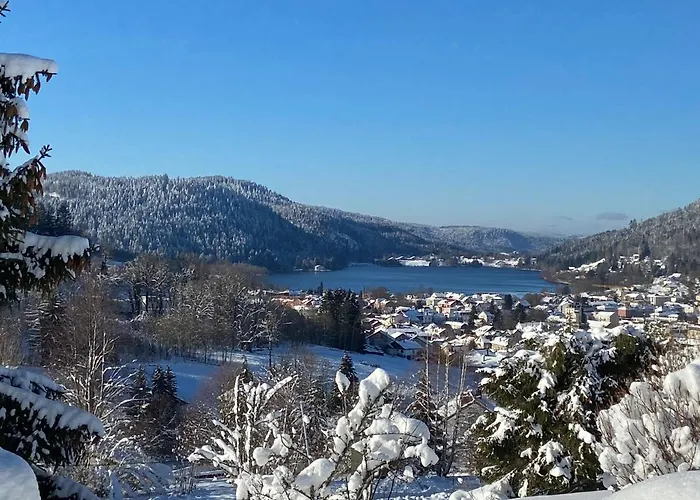 Les Brimbelles Apartment *